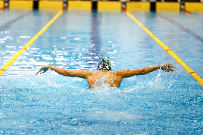 one swimmer athlete swim butterfly stroke in pool track